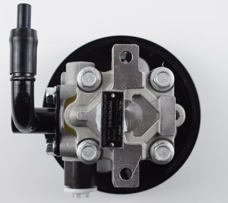 ปั๊มเข็มขัดแรงจากประเทศจีน อะไหล่ระบบชัสซี่รถยนต์ ความแม่นยําสูง 1102DAA03701N 60bar สองท่อ